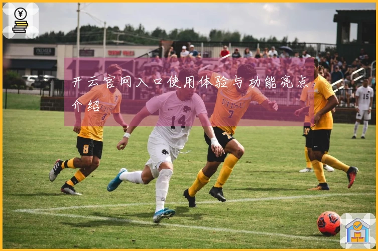 开云官网入口使用体验与功能亮点介绍