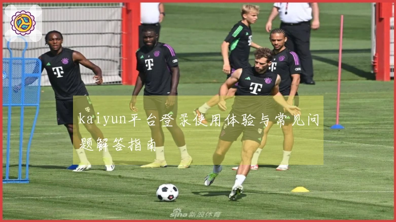 kaiyun平台登录使用体验与常见问题解答指南