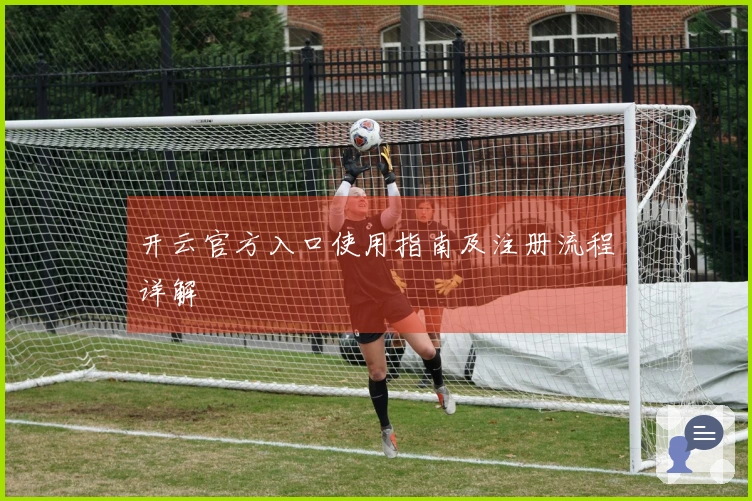 开云官方入口使用指南及注册流程详解