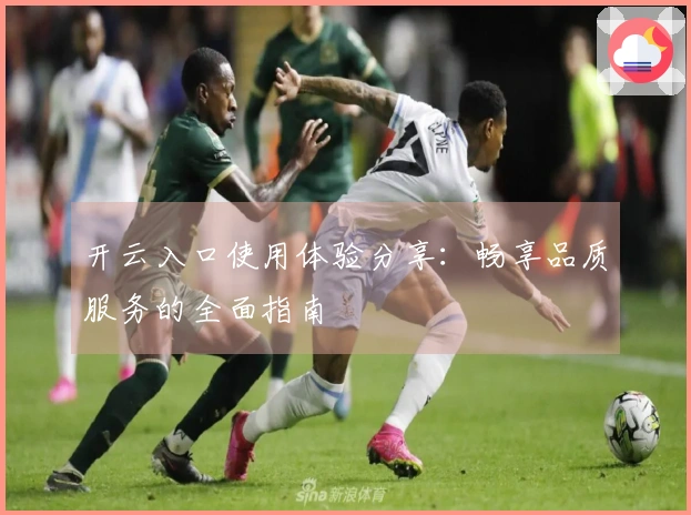 开云入口使用体验分享：畅享品质服务的全面指南